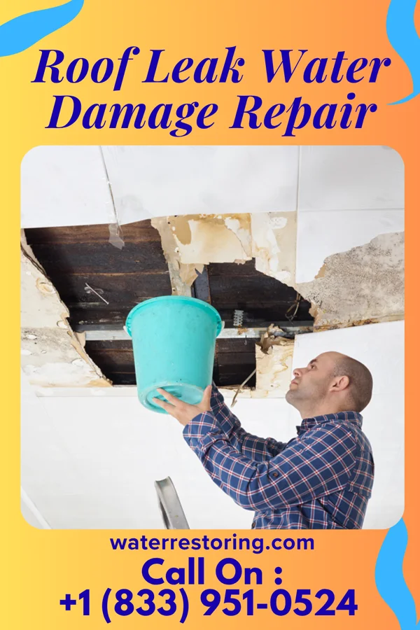 Roof Leak Water Damage Repair in Broadland, SD