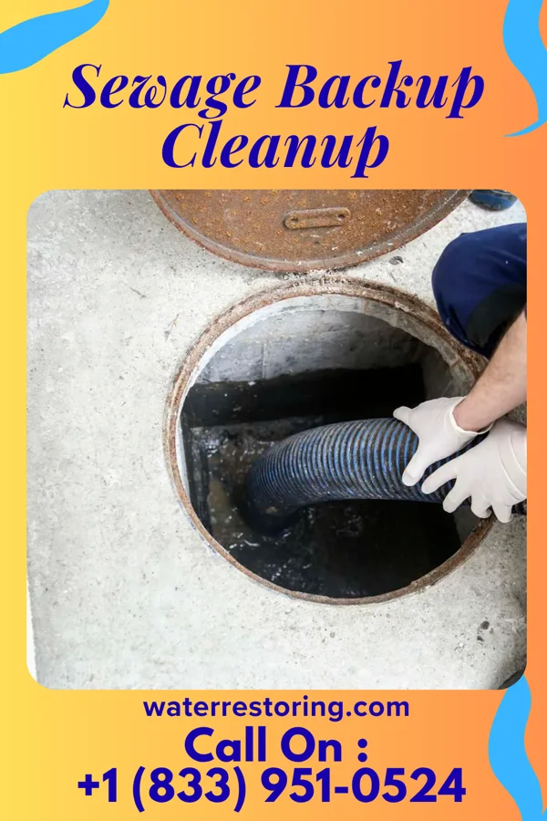 Sewage Backup Cleanup in Broadland, SD